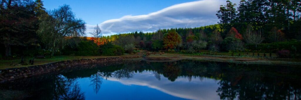 Soft morning light, suggesting a quiet beginning without urgency.