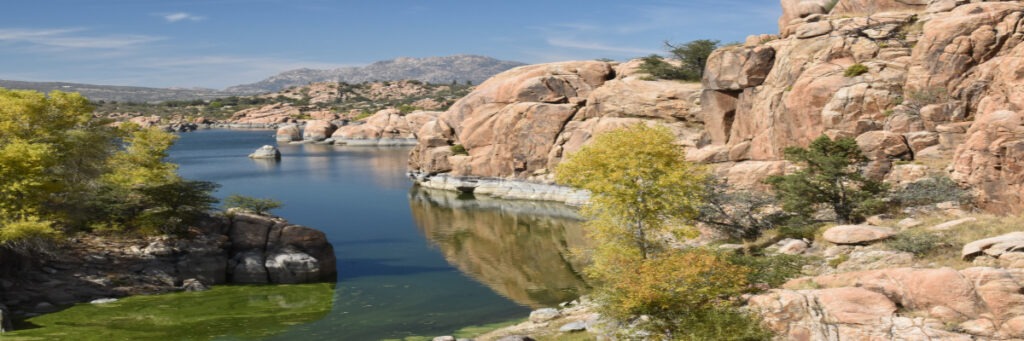 Soft, contemplative image with muted winter tones suggesting stillness and quiet reflection, accompanying the Weekend Reflection titled “The Still Places You Avoid.”