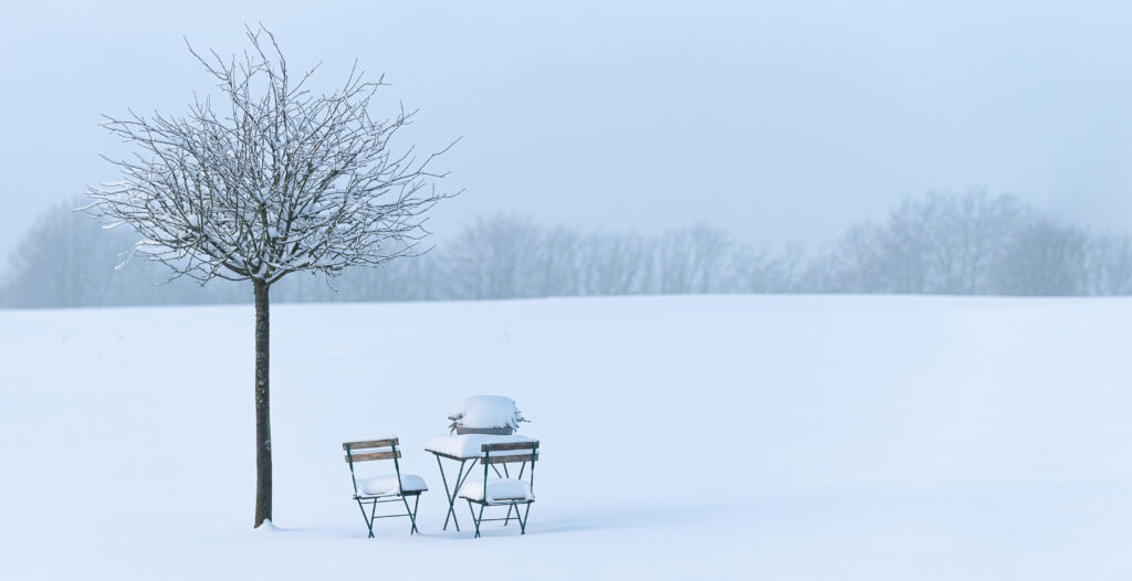 When the Year Asks You to Listen