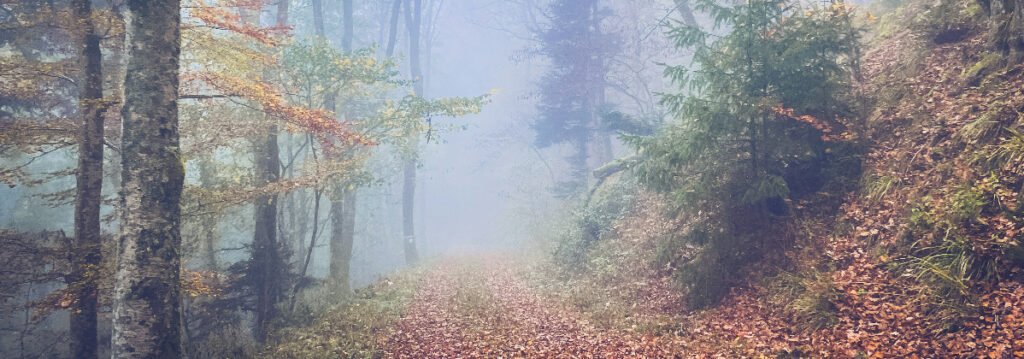 Under stress, curiosity about others often fades. A quiet reflection on how strain narrows perspective — and how gentle awareness can restore space.