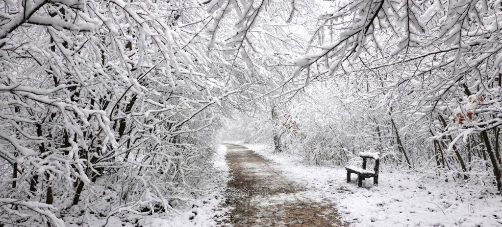 A quiet moment of reflection, symbolizing a pause to find yourself in the middle of everyday life.