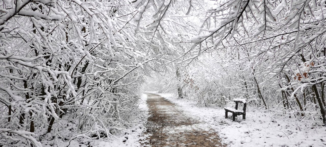 A quiet moment of reflection, symbolizing a pause to find yourself in the middle of everyday life.