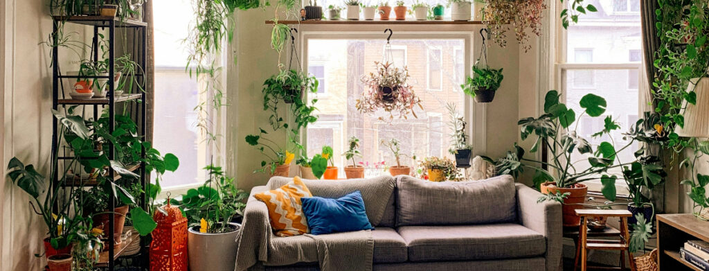 Soft morning light illuminating an uncluttered, peaceful room