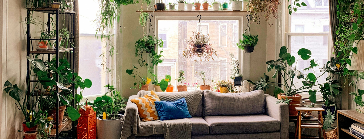 Soft morning light illuminating an uncluttered, peaceful room